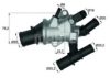 FIAT 46795667 Thermostat, coolant